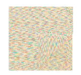 Space Dye Shawl Rainbow