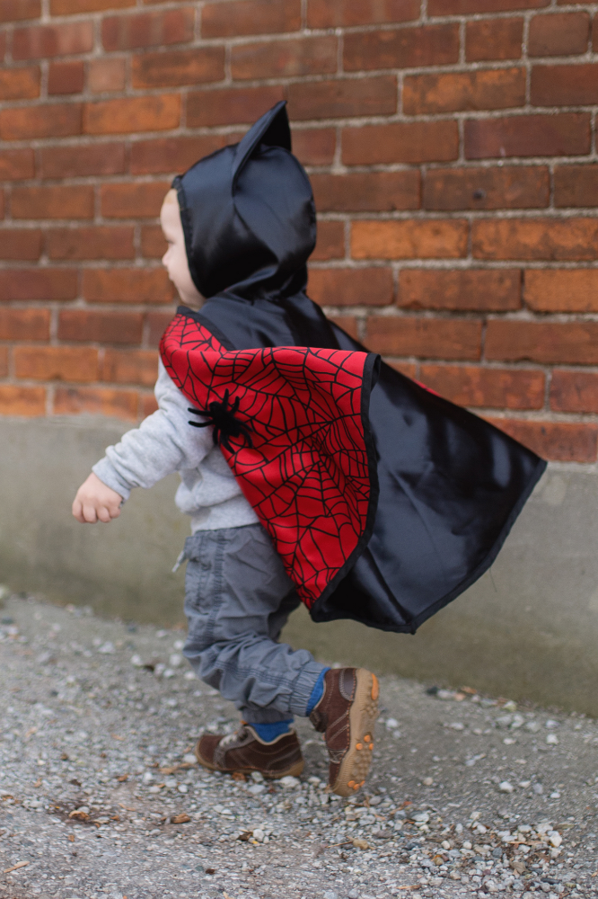 Reversible Spider/Bat Toddler Cape