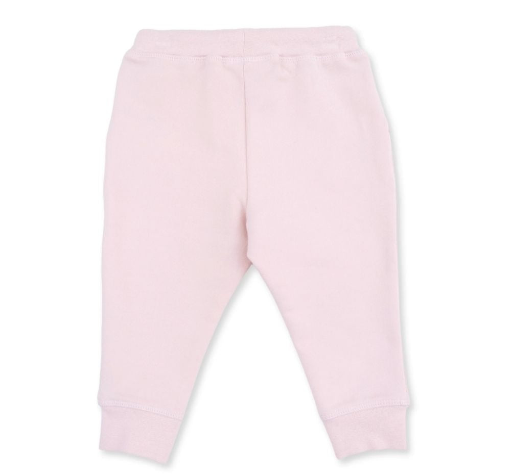Solid Veiled Pink Jogger Pant