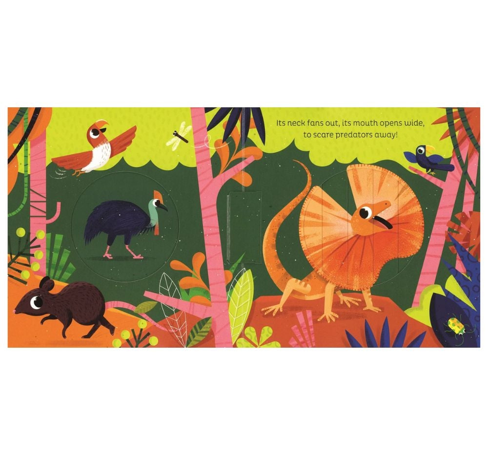 Animal Magic - In The Jungle
