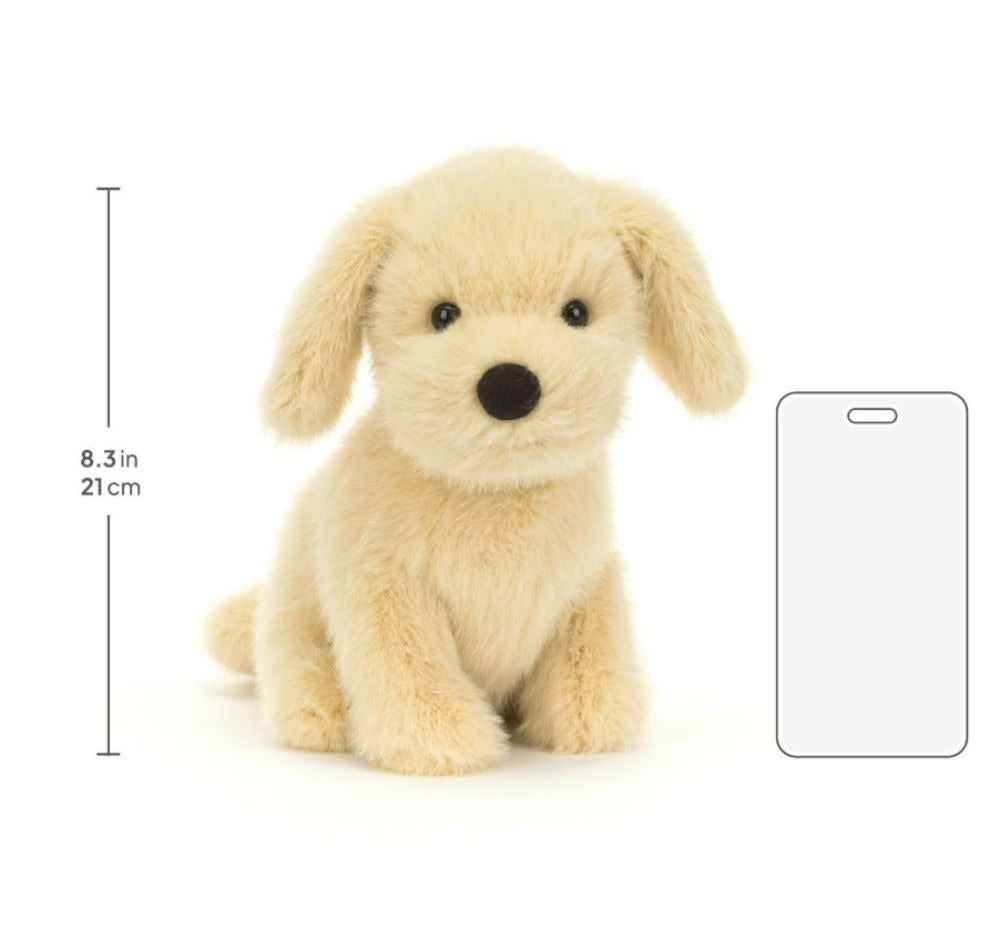 Golden Puppy