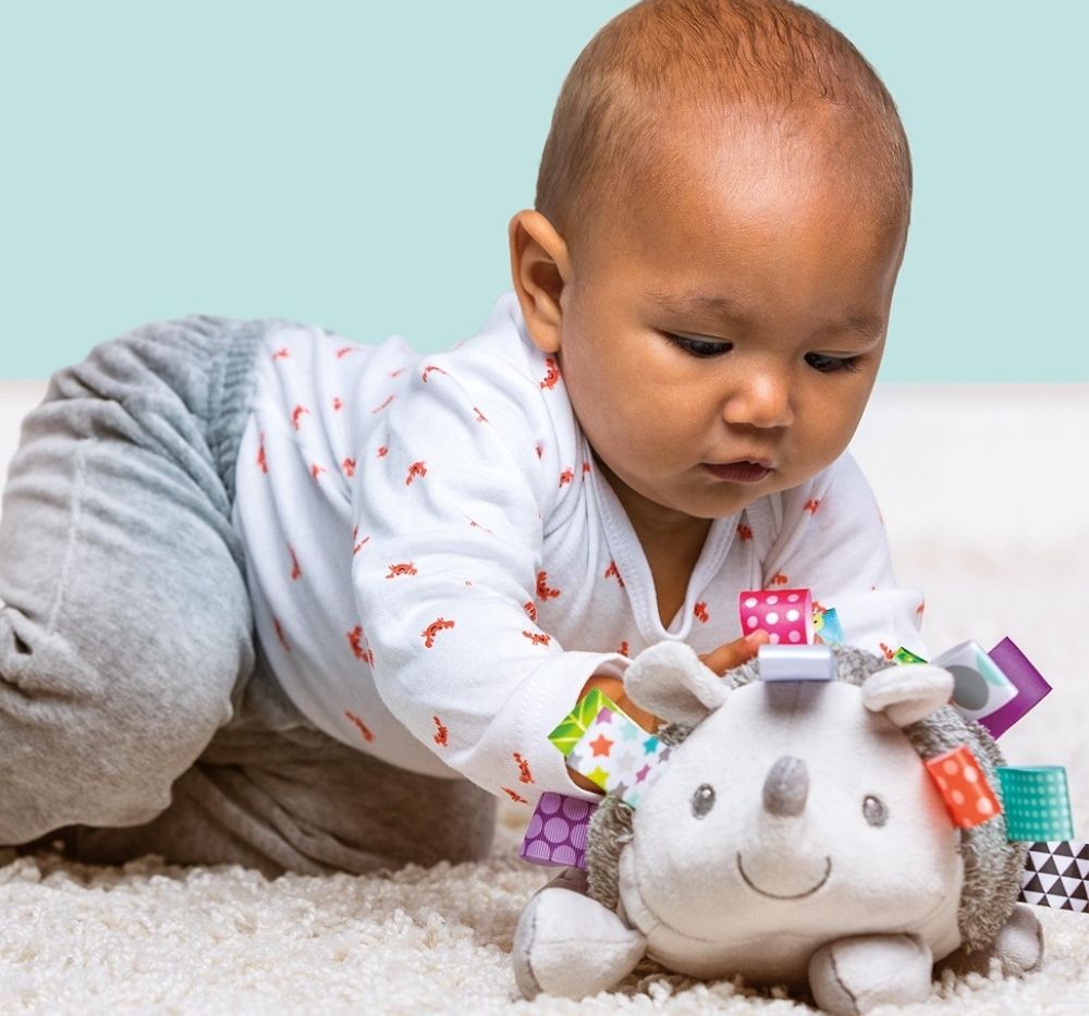 Taggies Heather Hedgehog Soft Toy
