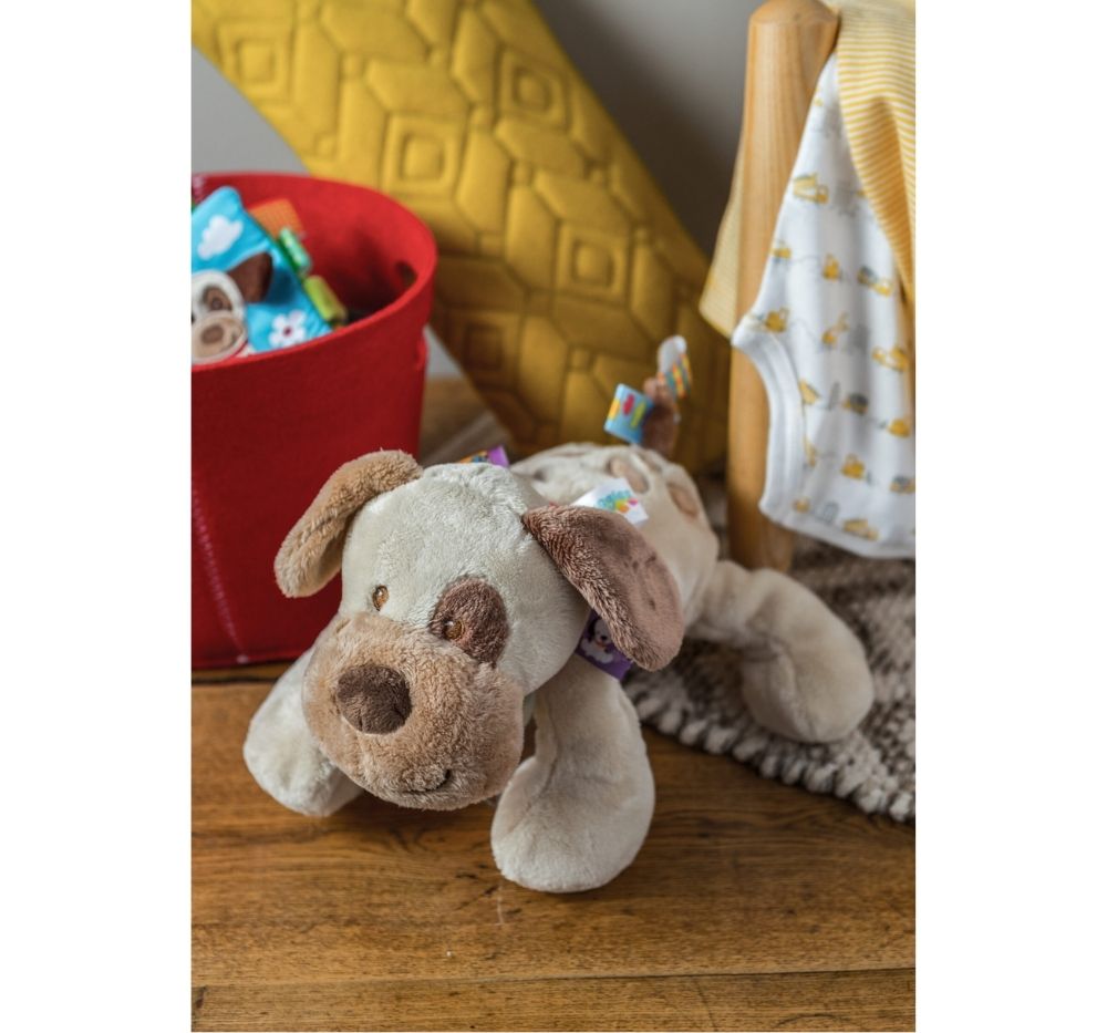 Taggies Buddy Dog Soft Toy