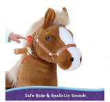 Medium Brown Pony