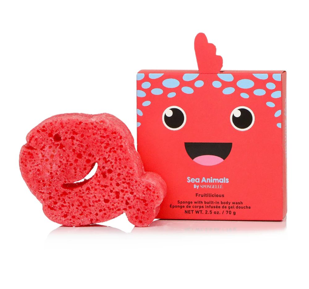Sponge Sea Animals Fiona