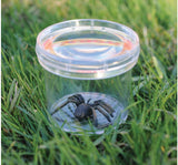 GeoSafari Jr. Bug Viewer