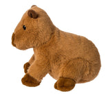 Capy Capybara