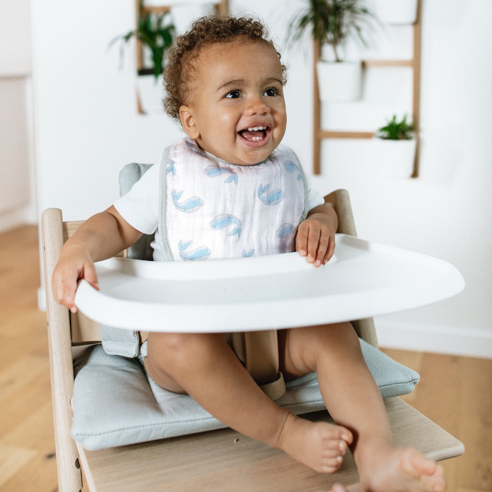 Essentials Snap Bib 3pack Natural History