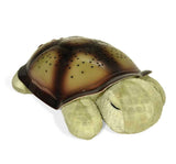 Lampara de Tortuga - Cloud B