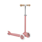 Eco Scooter Raspberry