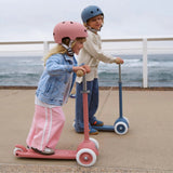 Eco Scooter Raspberry