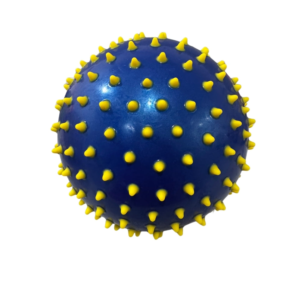 Jelly Ball 6 Navy/Yellow