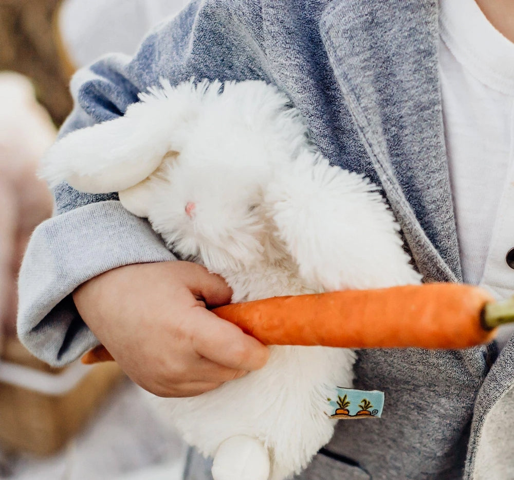 Wee Ittybit Bunny