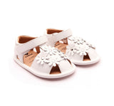 Wild Flower Snow-Snow