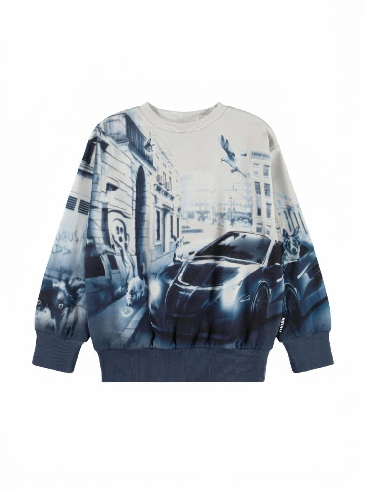Sweater Mattis Curiocity