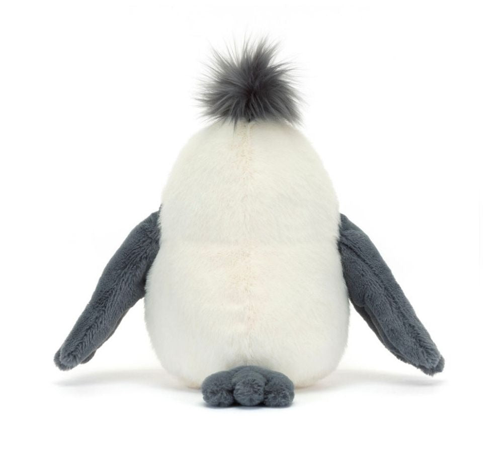 Chip Seagull