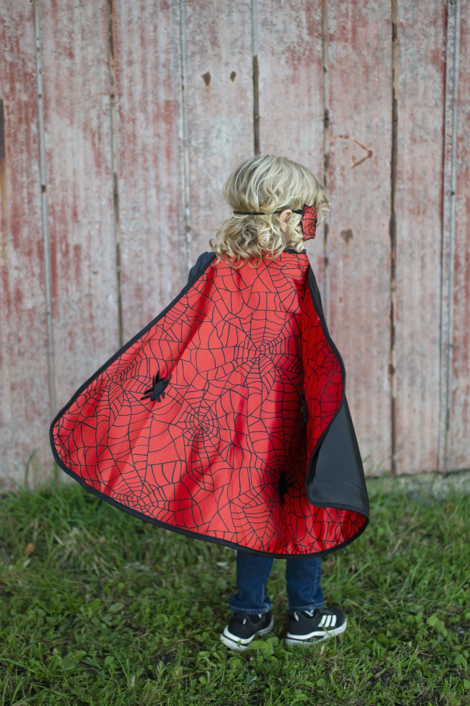 Reversible Spider/Bat Cape & Mask 4-6