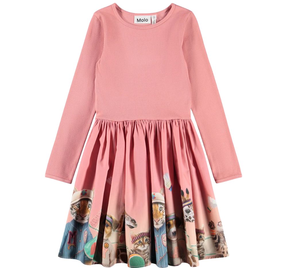 Casie Dress Cheerful Cheer