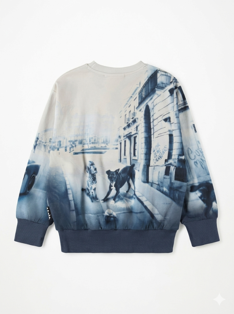 Sweater Mattis Curiocity