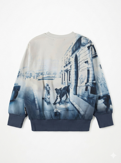 Sweater Mattis Curiocity
