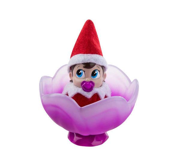 Frost Pips Mini Blooms Purple Baby Girl Blue Eyes