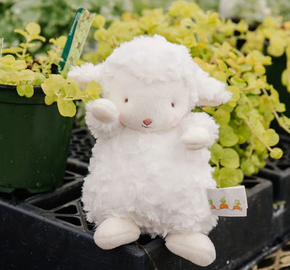 Wee Kiddo Lamb White