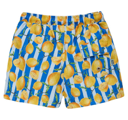 Shorts Venice Limones y Rayas