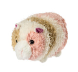 Pipsqueak Guinea Pig