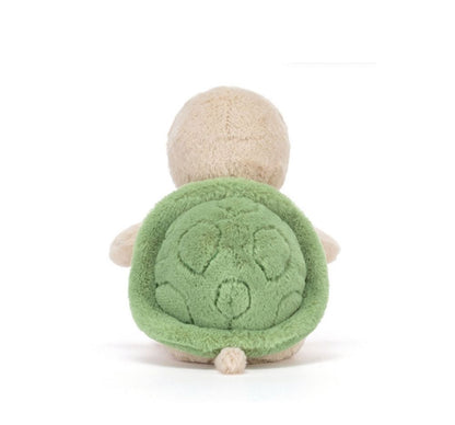 Thimble Turtle