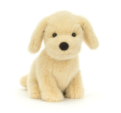 Golden Puppy