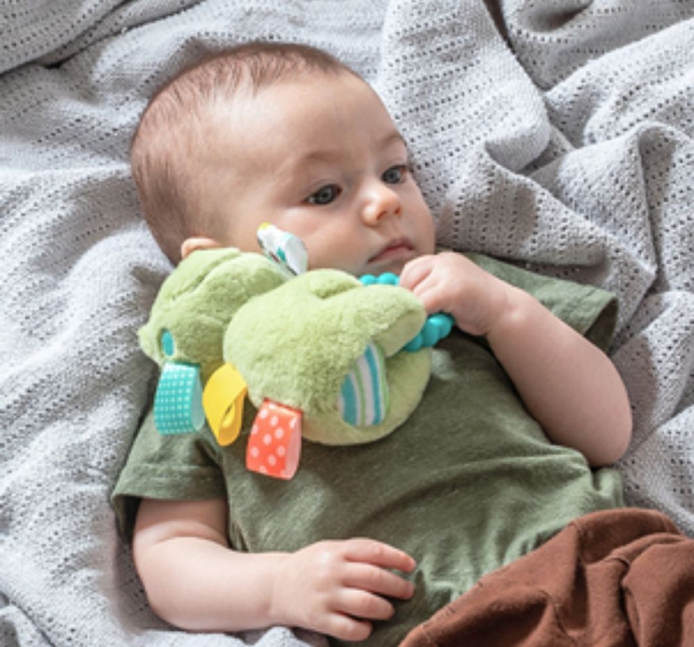 Taggies Peepers Frog Teeter Rattle