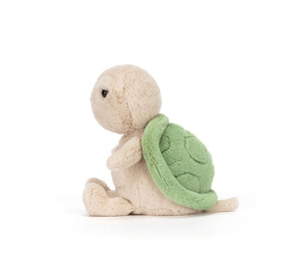 Thimble Turtle