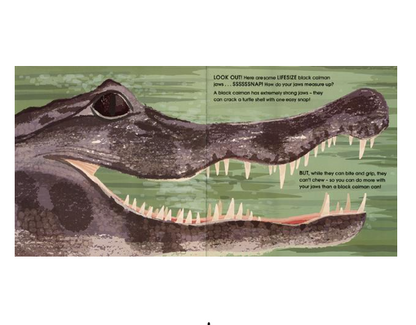 Lifesize Deadly Animals