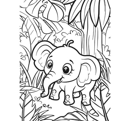 Animal Kingdom XXL ColoringBook