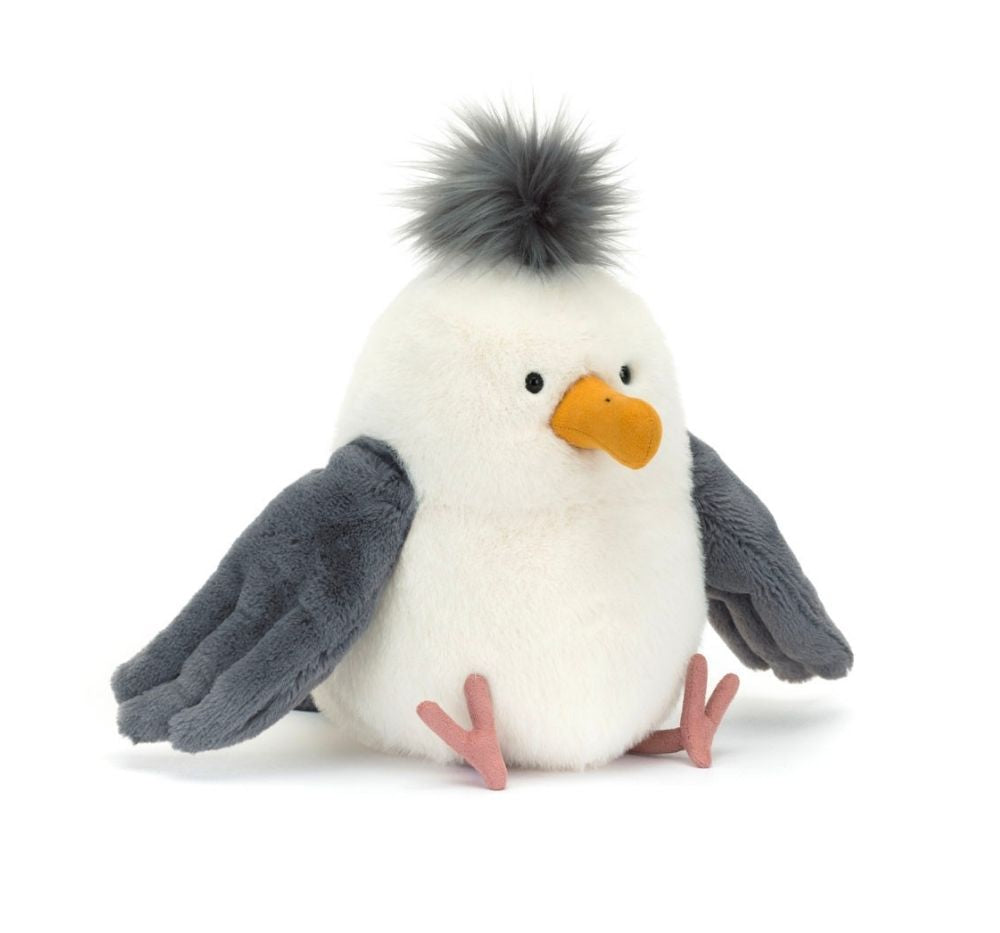 Chip Seagull