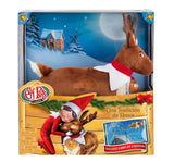 Elf Pets Reinder Tradition Spanish