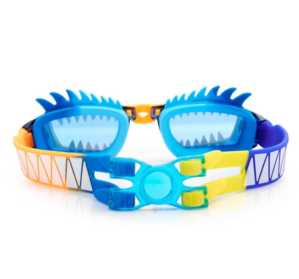 Draco Swim Googles Bluedragon
