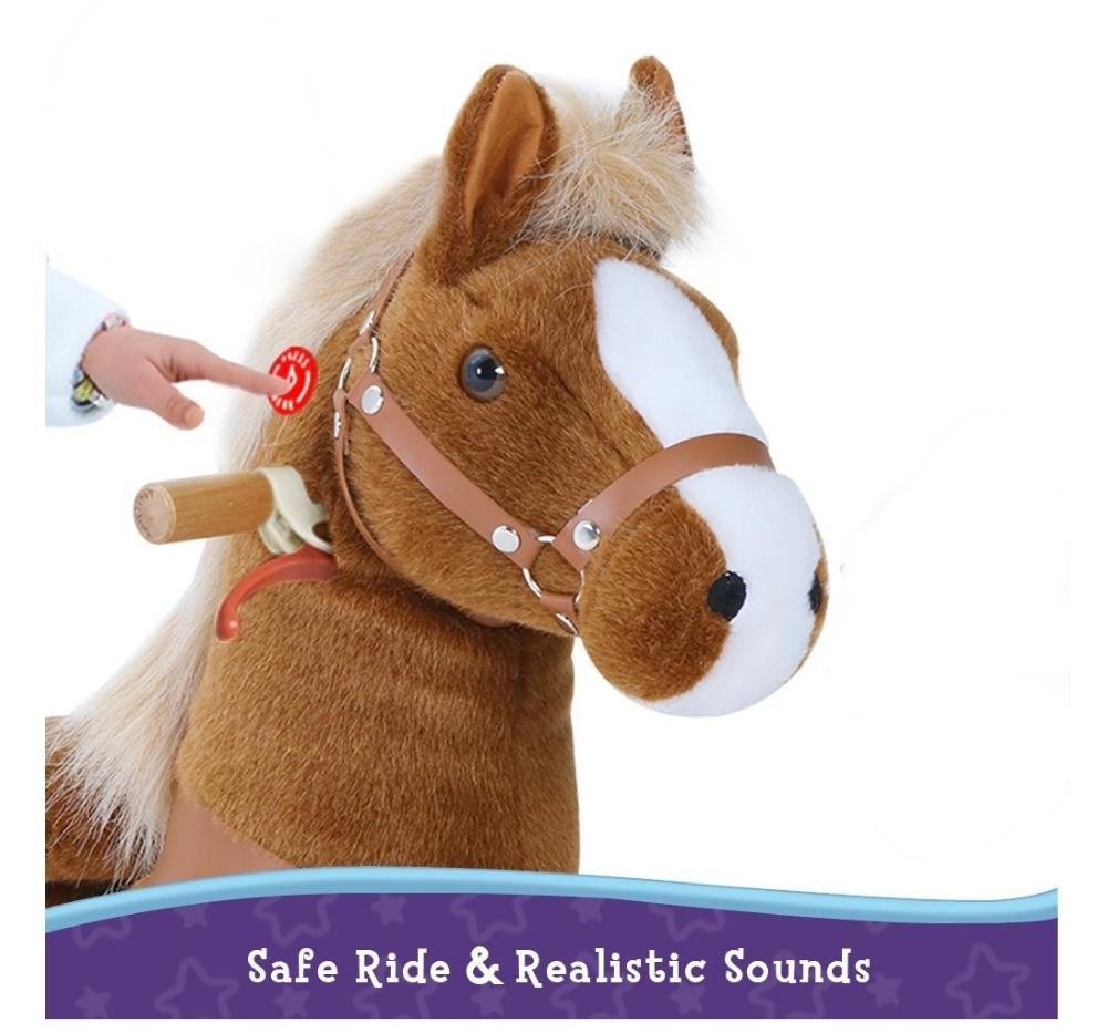 Small Brown Pony