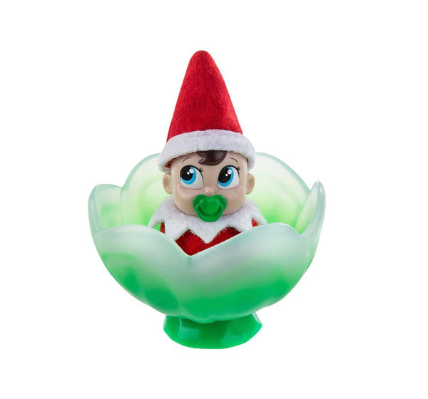 Frost Pips Mini Blooms Green Baby Boy Blue Eyes