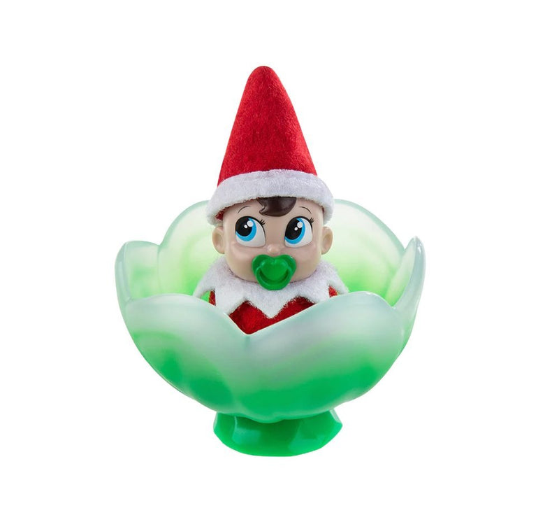 Frost Pips Mini Blooms Green Baby Boy Blue Eyes