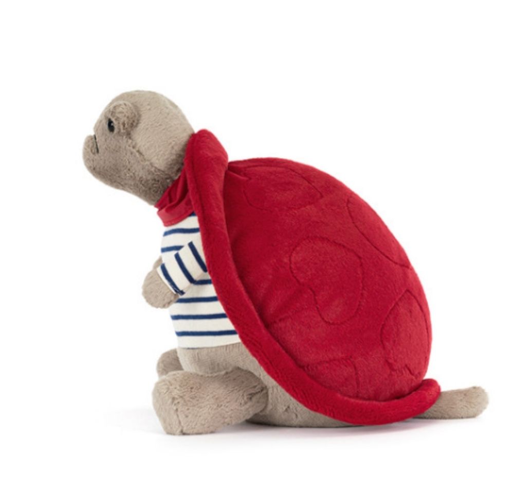 Timmy Turtle Romantic Outfit
