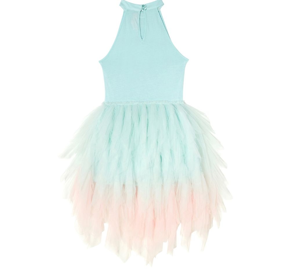 Stardom Tutu Dress