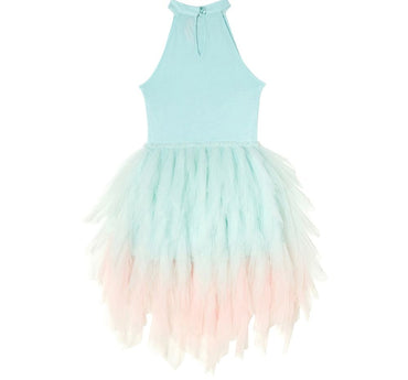 Stardom Tutu Dress