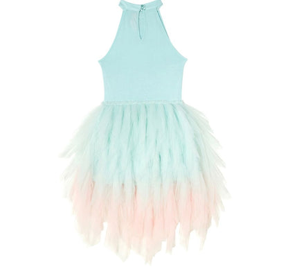Stardom Tutu Dress