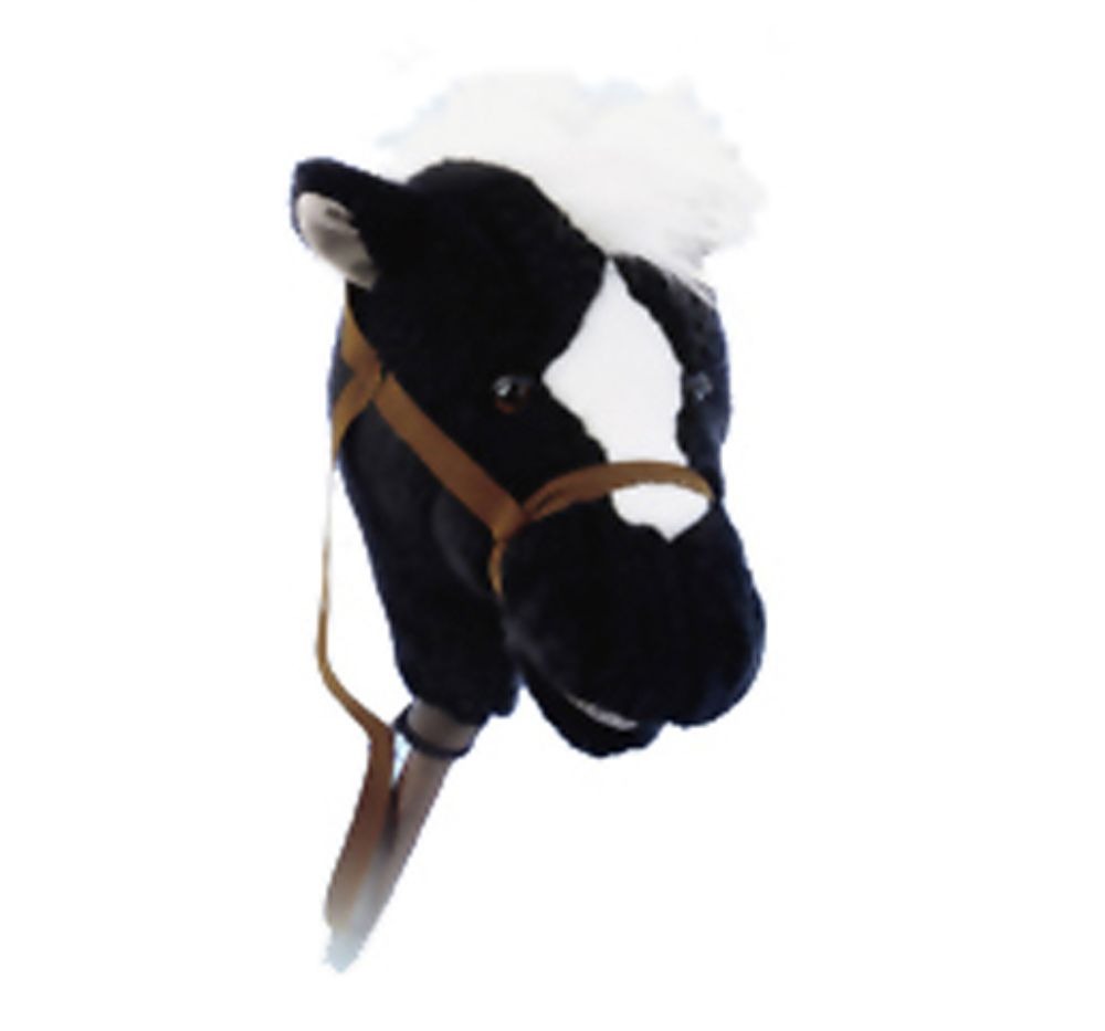 Easy Ride Um Black Horse