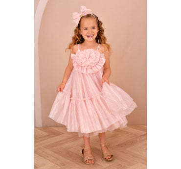 Rosheen Sparkle Tulle Strappy Dress
