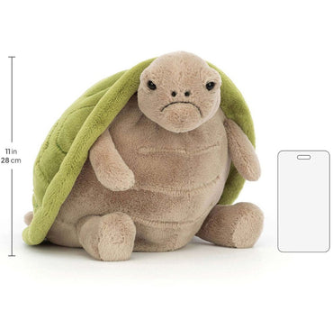 Timmy Turtle