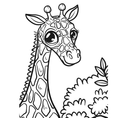 Animal Kingdom XXL ColoringBook