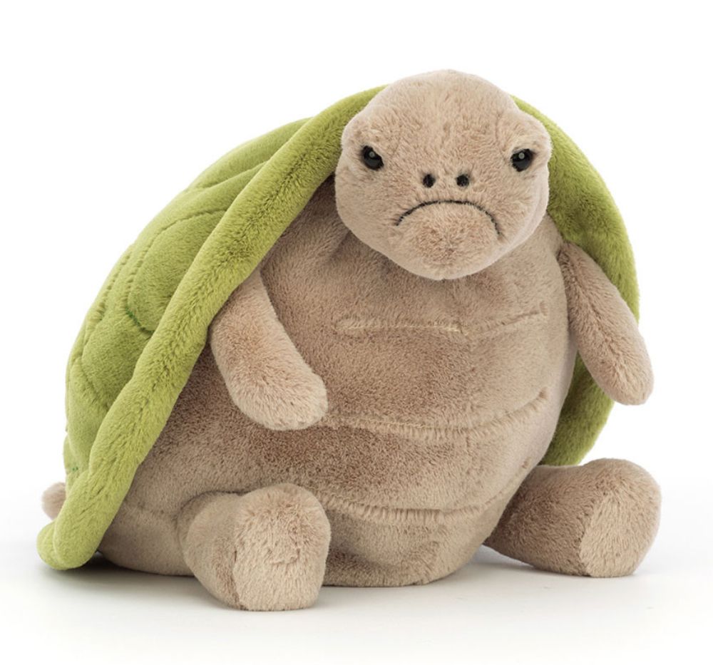 Timmy Turtle