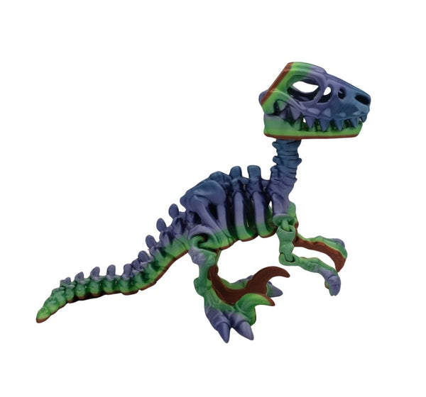 Skeletal Raptor